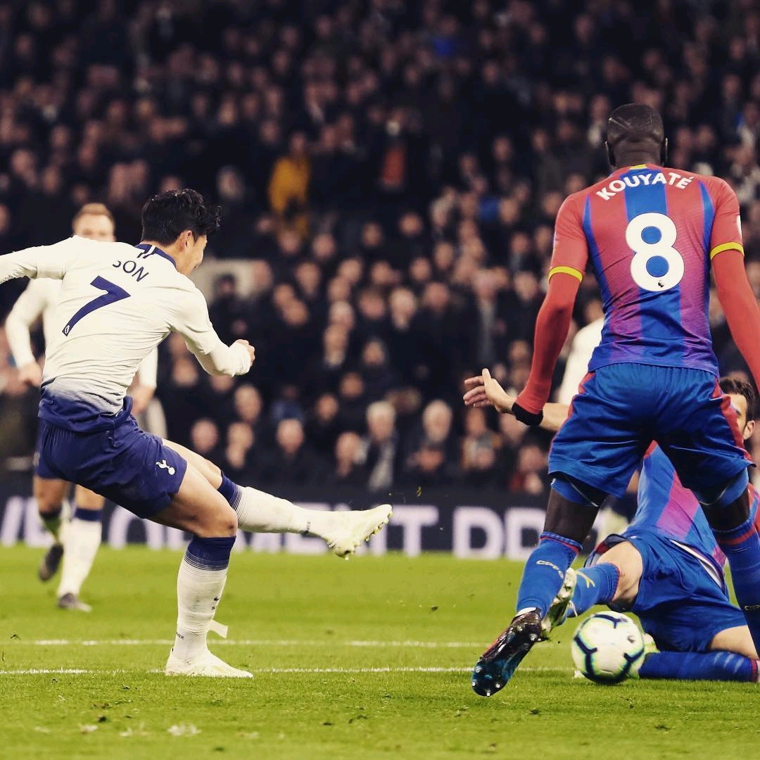 了整篇文章 了整篇文章